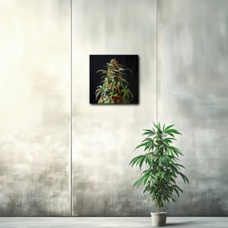 modern artwork