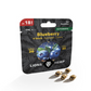 Hanfsamen Blueberry autoflowering