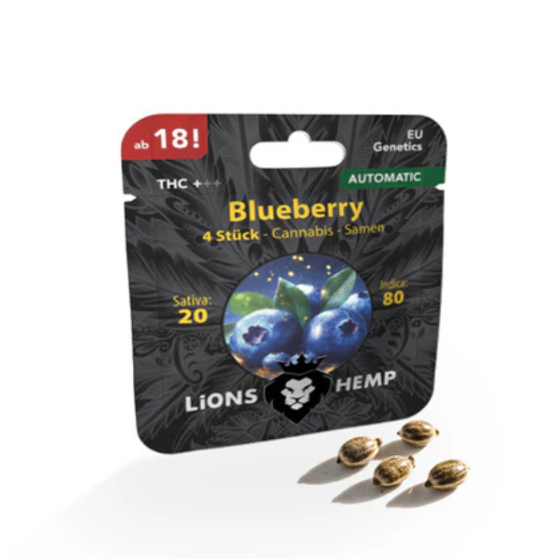 Hanfsamen Blueberry autoflowering