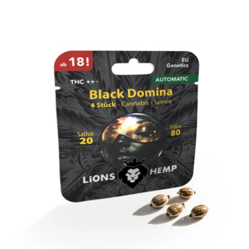 Hanfsamen Black Domina autoflowering
