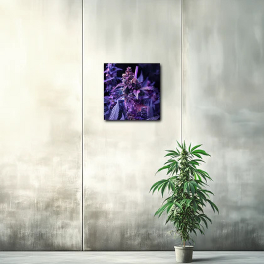 Wandbild Purple Punch